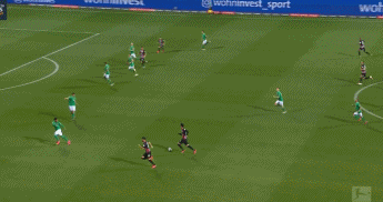 1591244519830546.gif 2.gif