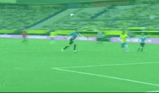 1634267709835859.gif 11.gif