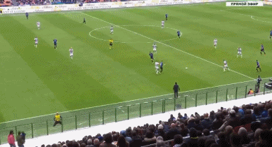 1635690359618398.gif 2.gif