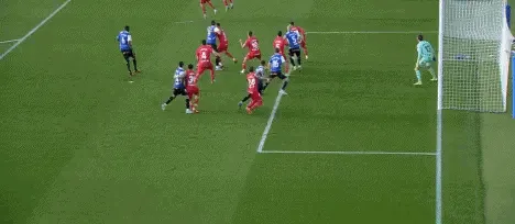 1652296417663156.gif 4.GIF