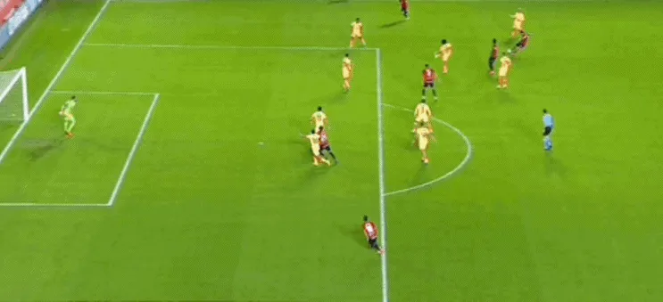 1668033162446149.gif 2.gif