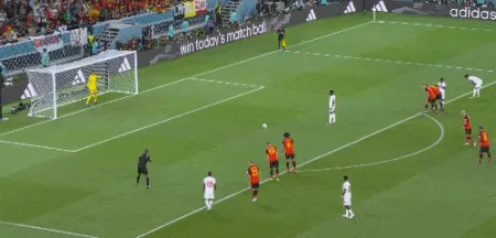 1669237132782876.gif 2.gif