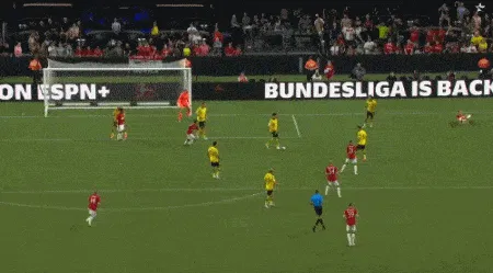 1690776289803272.gif 5.gif