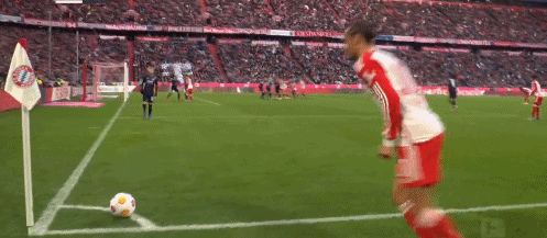 1699724288241105.gif 3.gif