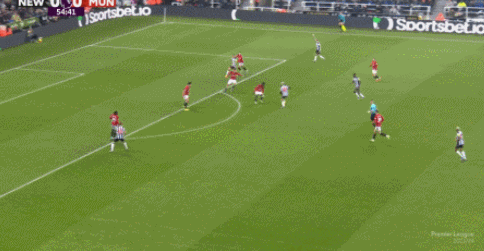 1701561494622809.gif 2.gif