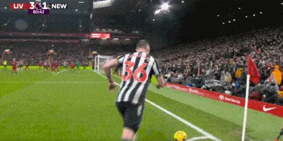 1704158115383553.gif 05.gif