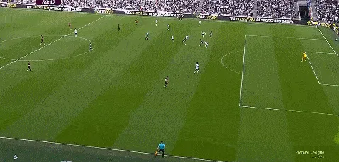 1741536388741984.gif 3.gif